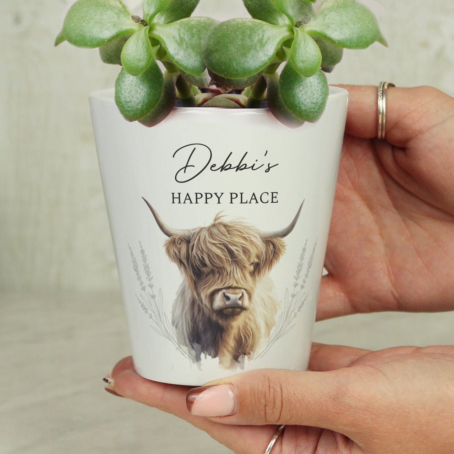 Personalised Highland Cow Plant Pot